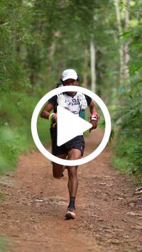 BIB:  <button type="button" onclick="openModal(26800436)" class="btn btn-primary btn-sm float-right" data-toggle="modal" data-target=".modal-high-quality">
                <i class="fa fa-download"></i> Download
                </button>